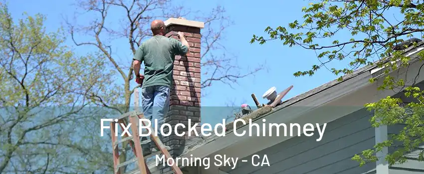 Fix Blocked Chimney Morning Sky - CA