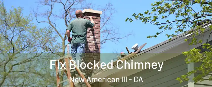 Fix Blocked Chimney New American III - CA