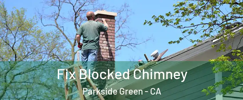 Fix Blocked Chimney Parkside Green - CA