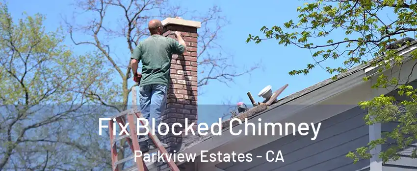 Fix Blocked Chimney Parkview Estates - CA