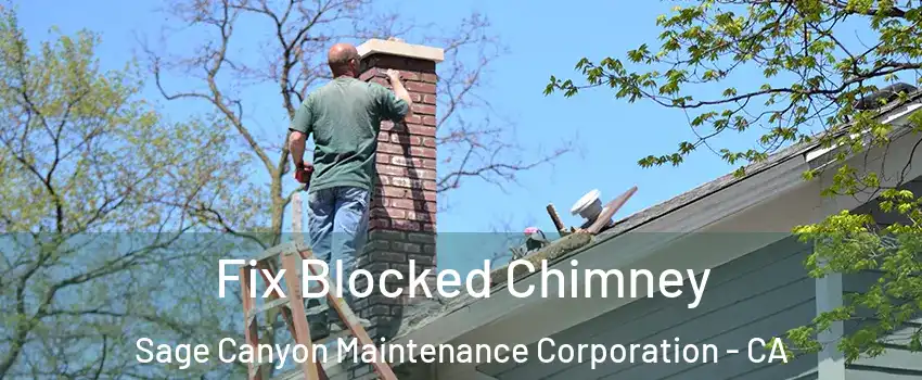 Fix Blocked Chimney Sage Canyon Maintenance Corporation - CA