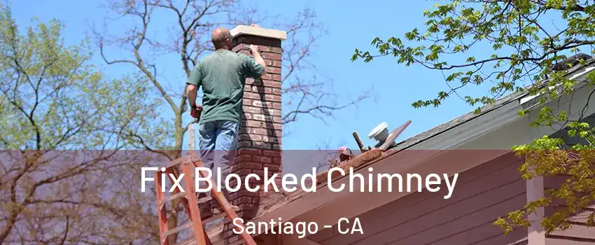 Fix Blocked Chimney Santiago - CA