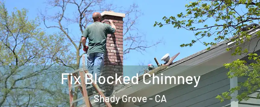 Fix Blocked Chimney Shady Grove - CA