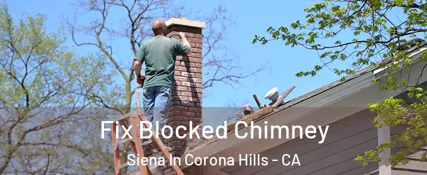Fix Blocked Chimney Siena In Corona Hills - CA