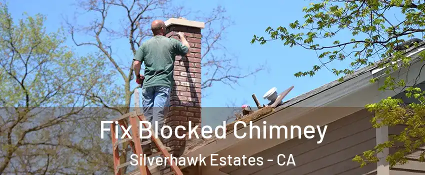 Fix Blocked Chimney Silverhawk Estates - CA