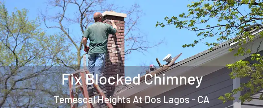Fix Blocked Chimney Temescal Heights At Dos Lagos - CA