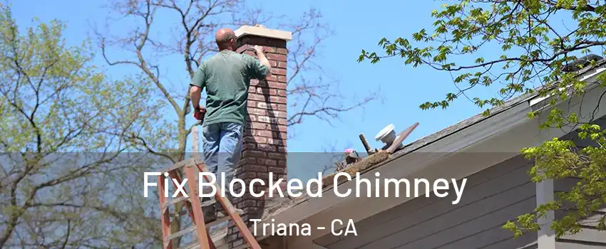 Fix Blocked Chimney Triana - CA