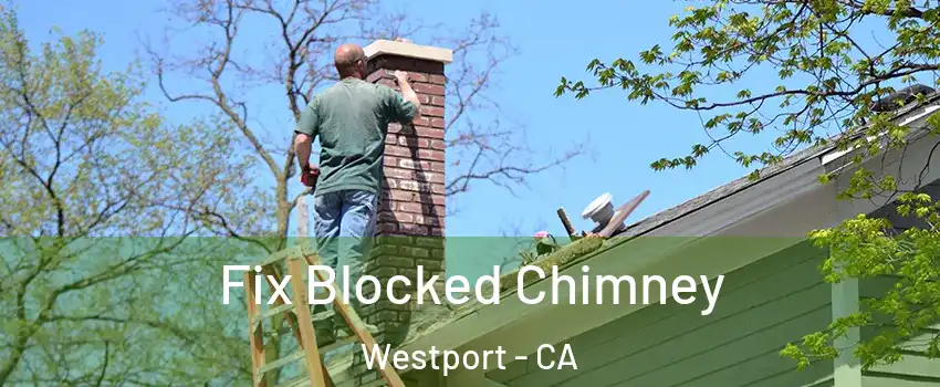 Fix Blocked Chimney Westport - CA