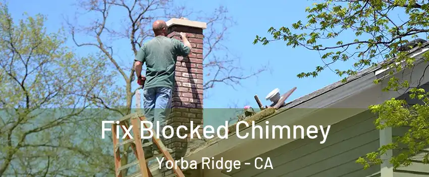 Fix Blocked Chimney Yorba Ridge - CA