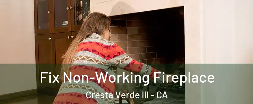 Fix Non-Working Fireplace Cresta Verde III - CA
