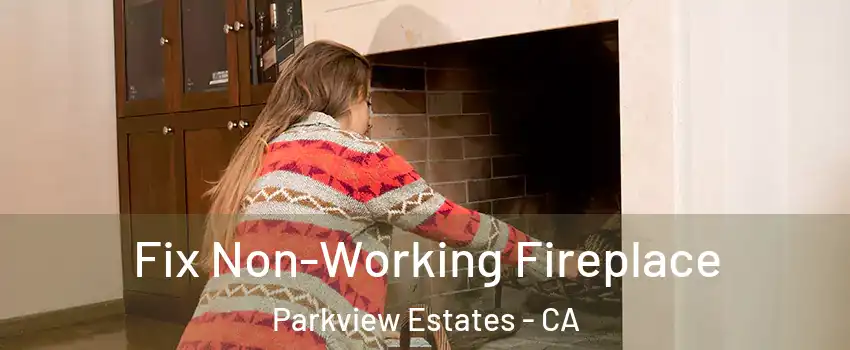 Fix Non-Working Fireplace Parkview Estates - CA