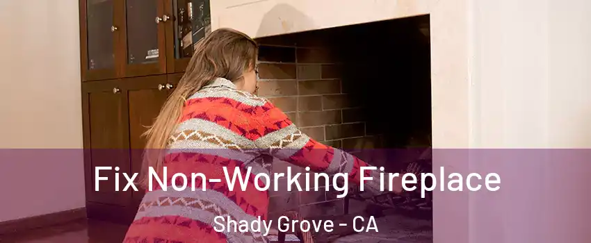Fix Non-Working Fireplace Shady Grove - CA