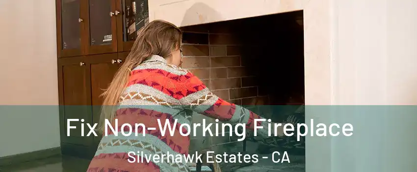 Fix Non-Working Fireplace Silverhawk Estates - CA
