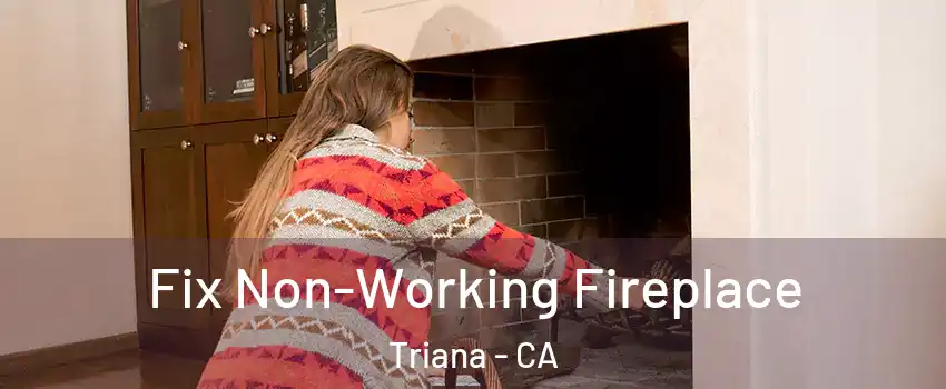 Fix Non-Working Fireplace Triana - CA