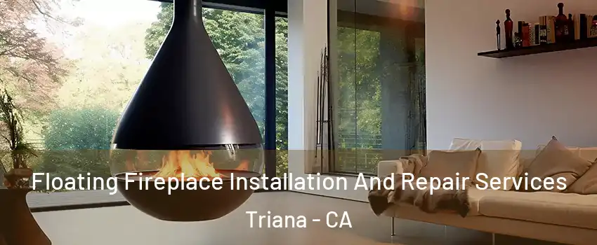 Floating Fireplace Installation And Repair Services Triana - CA