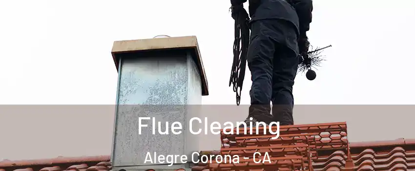 Flue Cleaning Alegre Corona - CA