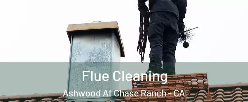 Flue Cleaning Ashwood At Chase Ranch - CA