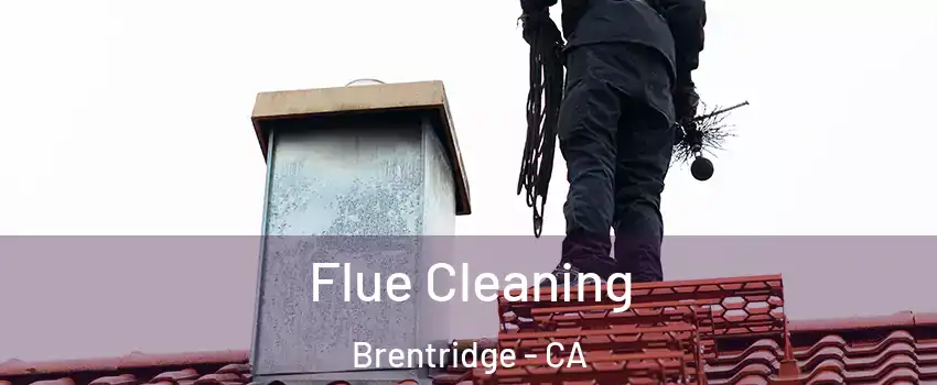 Flue Cleaning Brentridge - CA