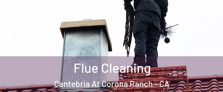 Flue Cleaning Cantebria At Corona Ranch - CA