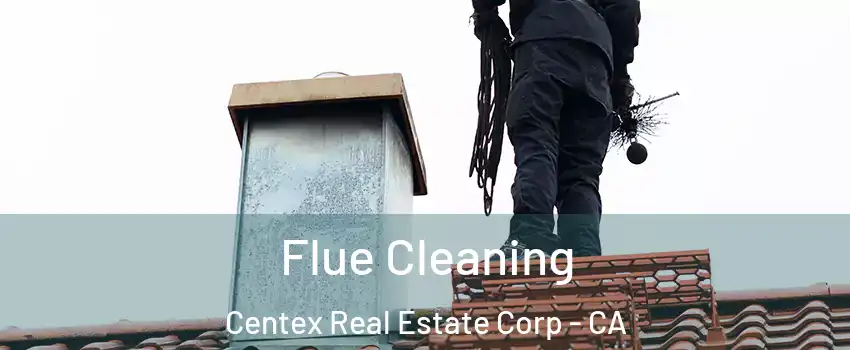 Flue Cleaning Centex Real Estate Corp - CA