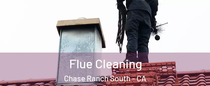 Flue Cleaning Chase Ranch South - CA