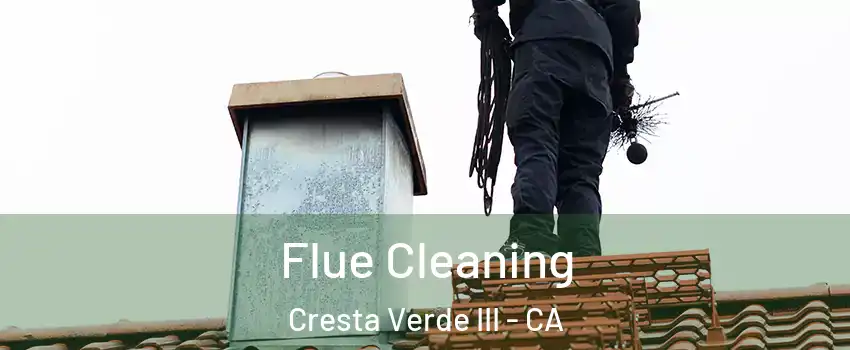 Flue Cleaning Cresta Verde III - CA