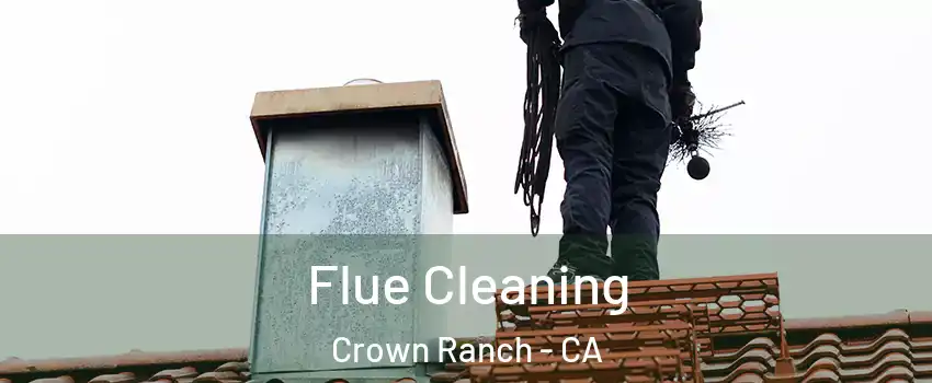 Flue Cleaning Crown Ranch - CA