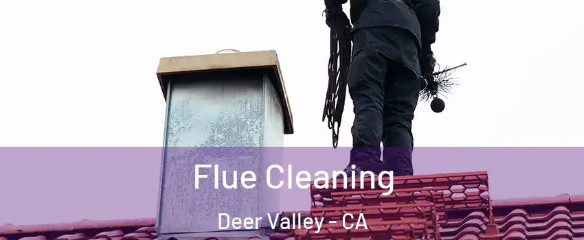 Flue Cleaning Deer Valley - CA