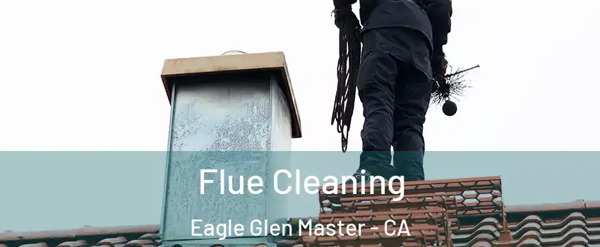 Flue Cleaning Eagle Glen Master - CA