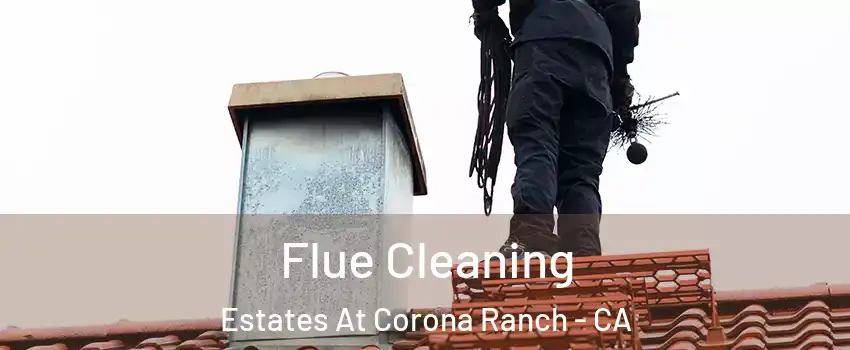 Flue Cleaning Estates At Corona Ranch - CA