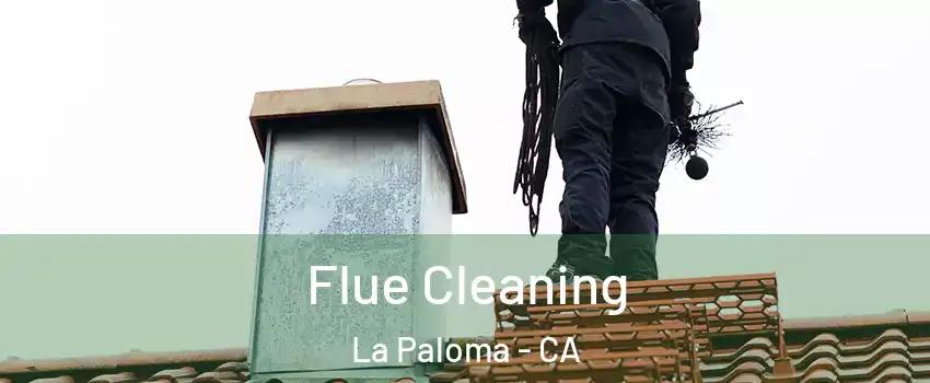 Flue Cleaning La Paloma - CA