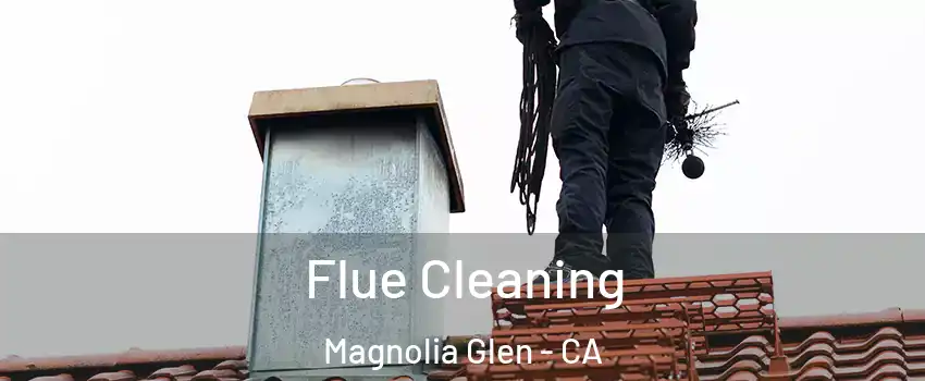 Flue Cleaning Magnolia Glen - CA