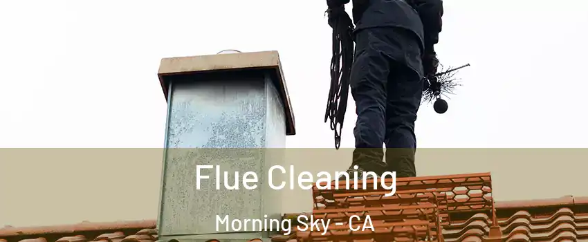 Flue Cleaning Morning Sky - CA
