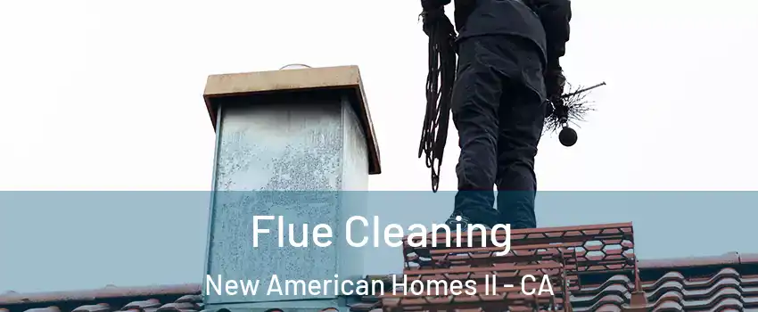 Flue Cleaning New American Homes II - CA