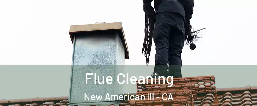 Flue Cleaning New American III - CA