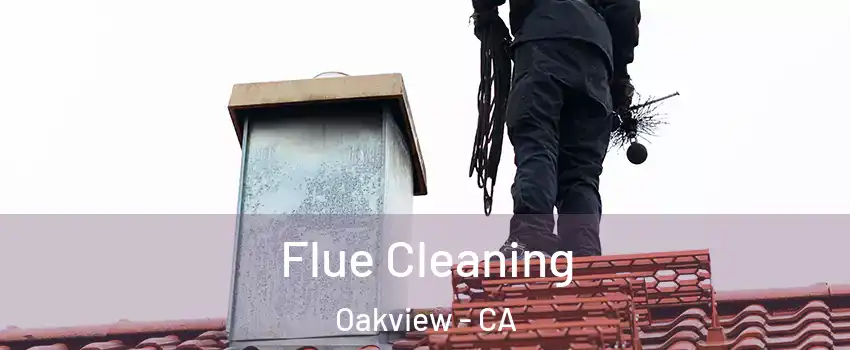 Flue Cleaning Oakview - CA