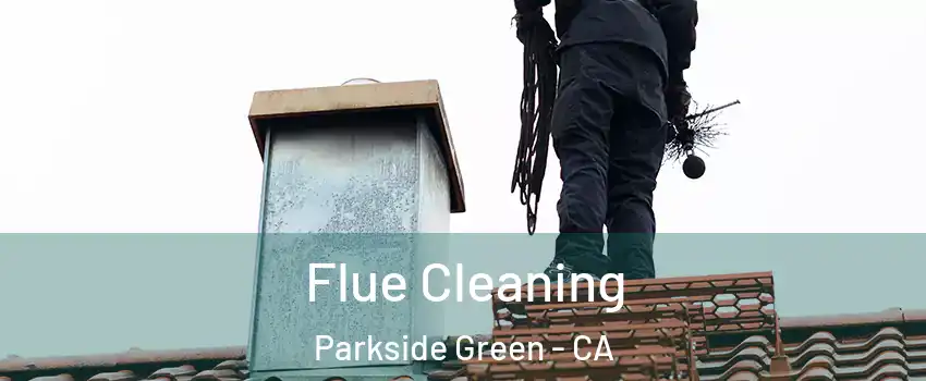 Flue Cleaning Parkside Green - CA