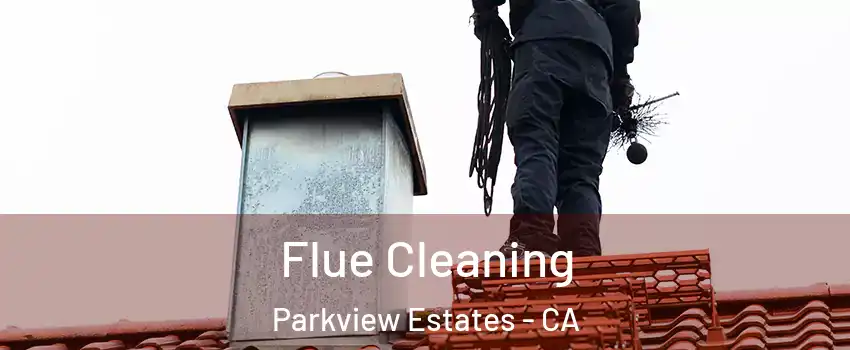 Flue Cleaning Parkview Estates - CA
