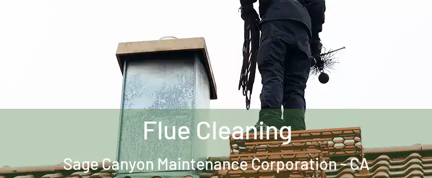 Flue Cleaning Sage Canyon Maintenance Corporation - CA