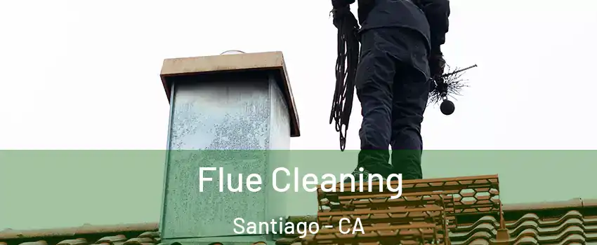 Flue Cleaning Santiago - CA