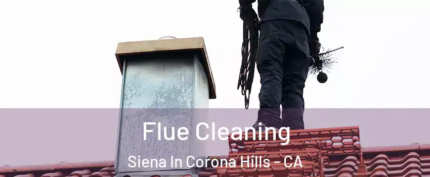 Flue Cleaning Siena In Corona Hills - CA