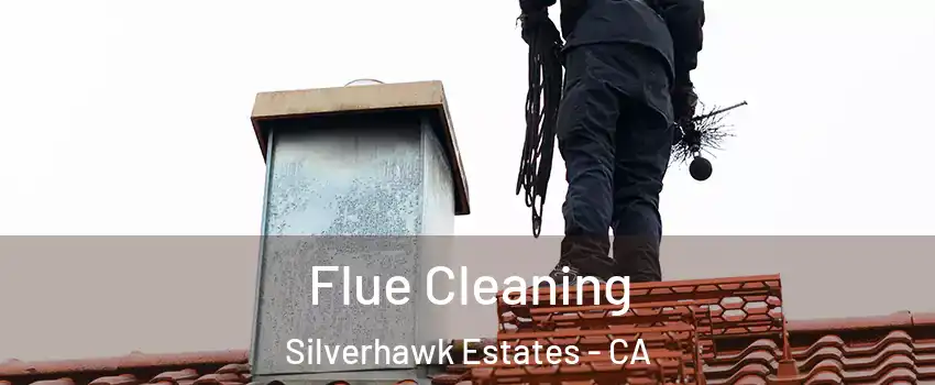Flue Cleaning Silverhawk Estates - CA
