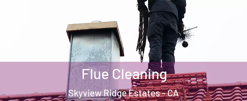Flue Cleaning Skyview Ridge Estates - CA