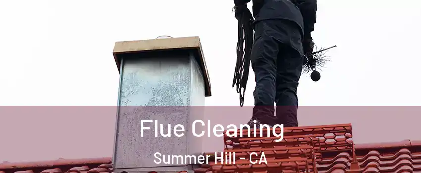 Flue Cleaning Summer Hill - CA