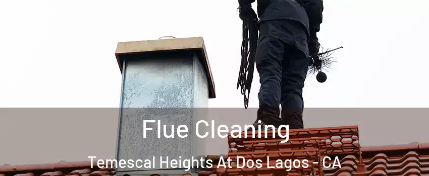 Flue Cleaning Temescal Heights At Dos Lagos - CA