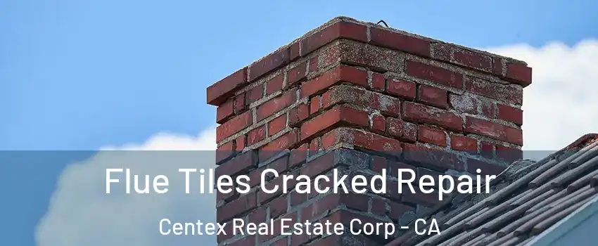 Flue Tiles Cracked Repair Centex Real Estate Corp - CA