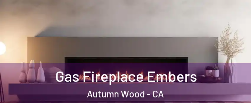 Gas Fireplace Embers Autumn Wood - CA