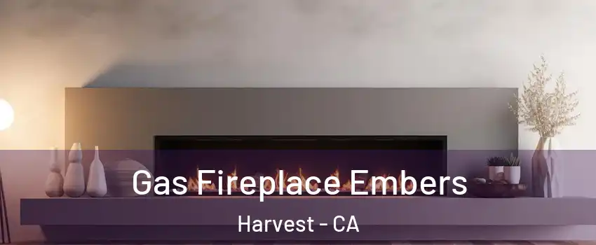 Gas Fireplace Embers Harvest - CA