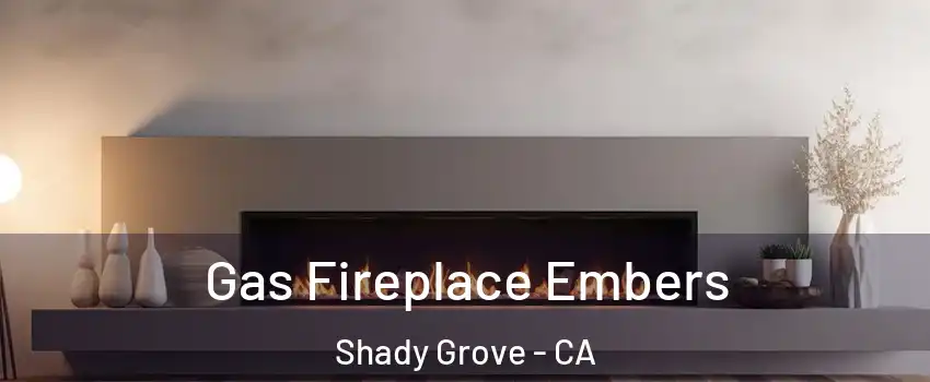 Gas Fireplace Embers Shady Grove - CA