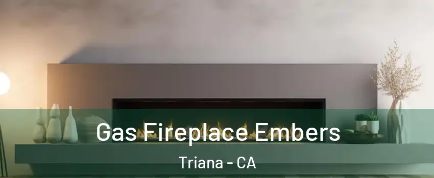 Gas Fireplace Embers Triana - CA